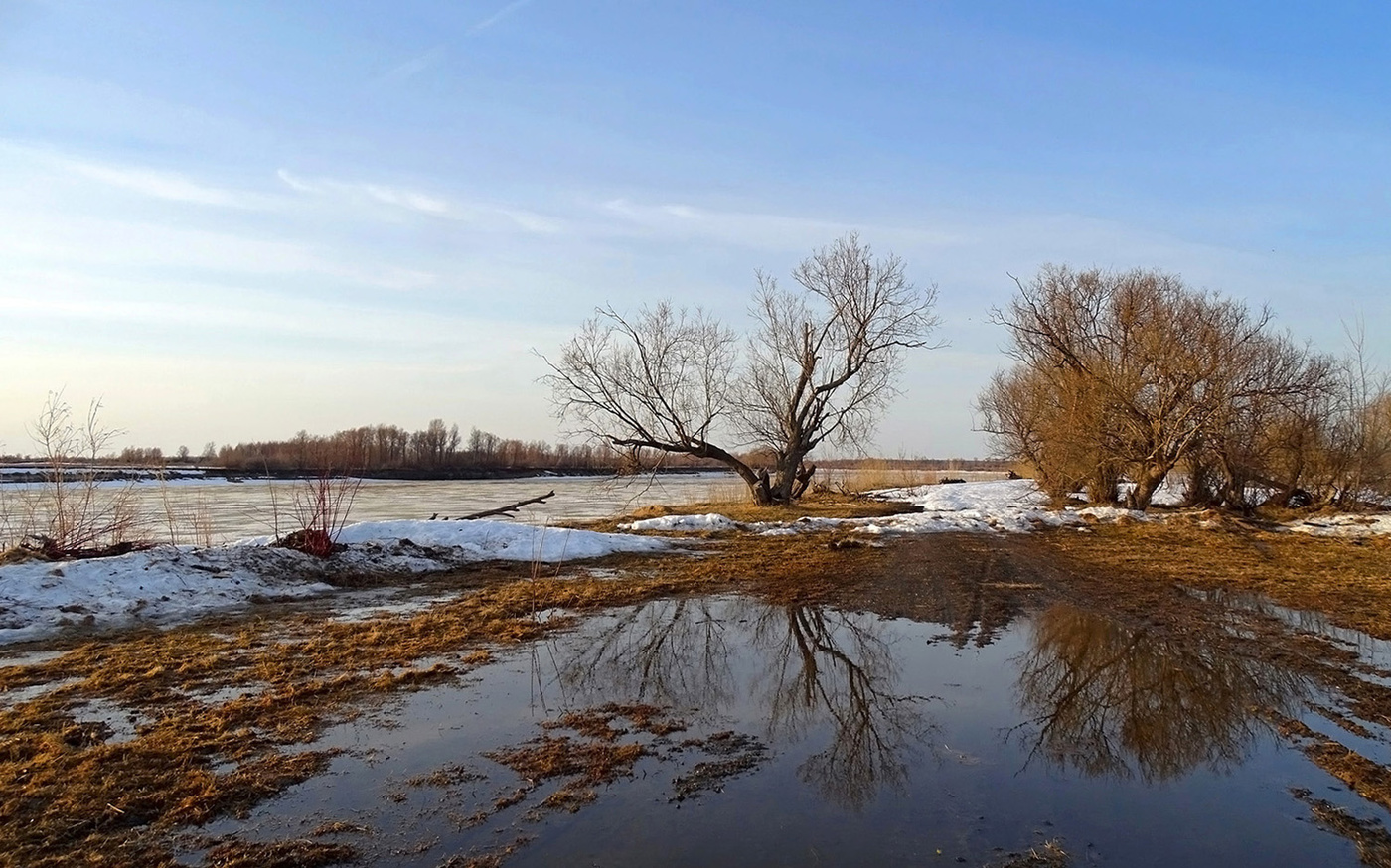 Сибирская весна