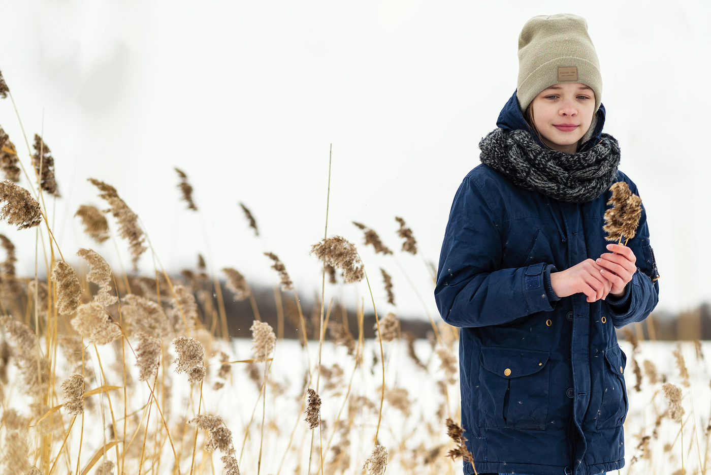 В лесу сухостоя