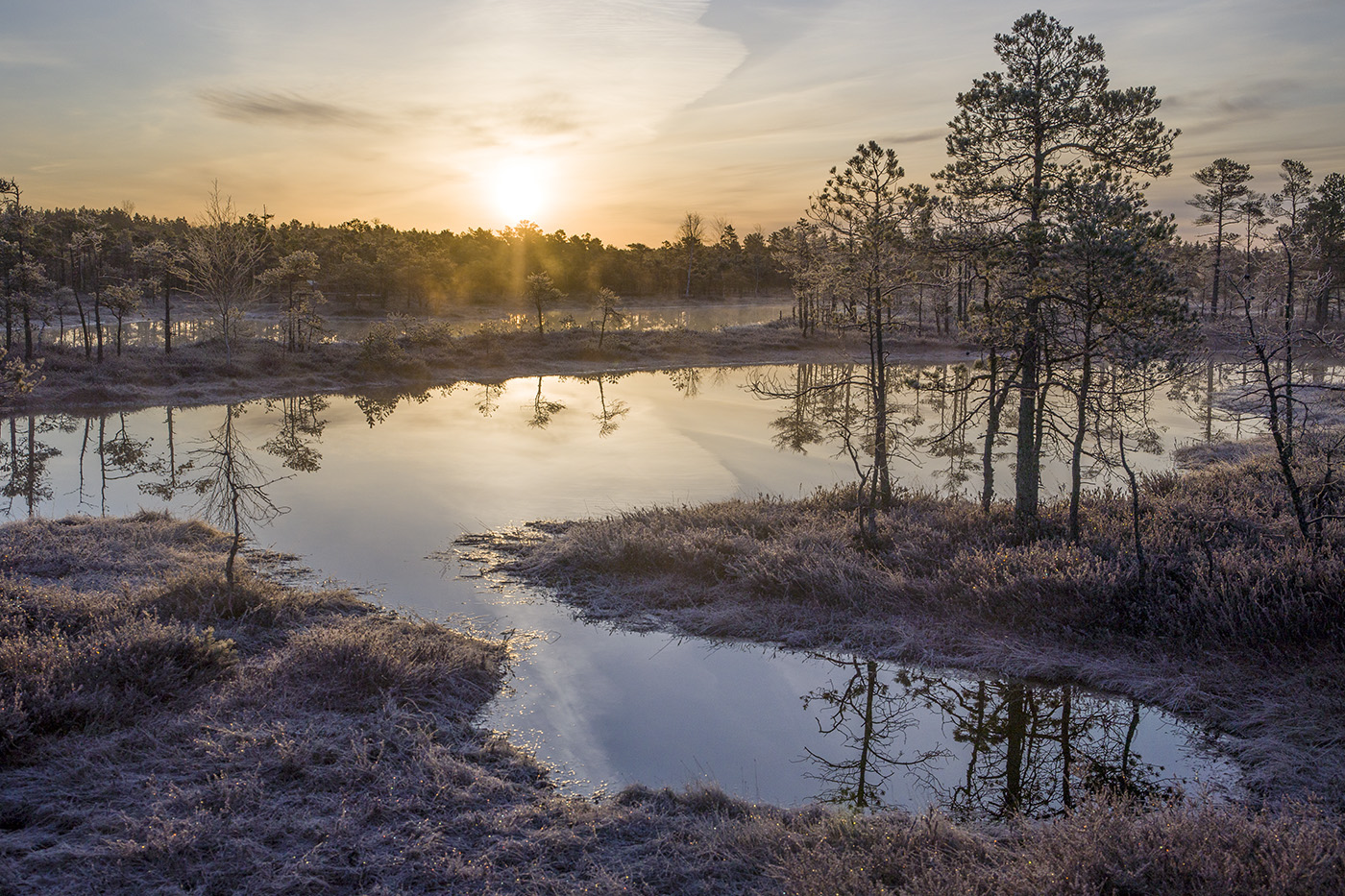 Весеннее солнце