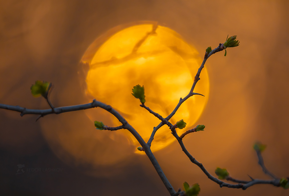 Картина весны