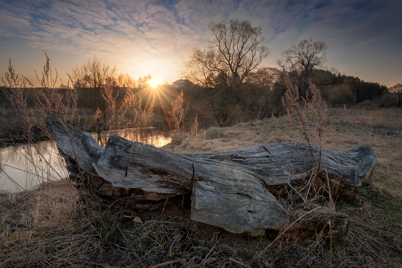Коряга пригрелась