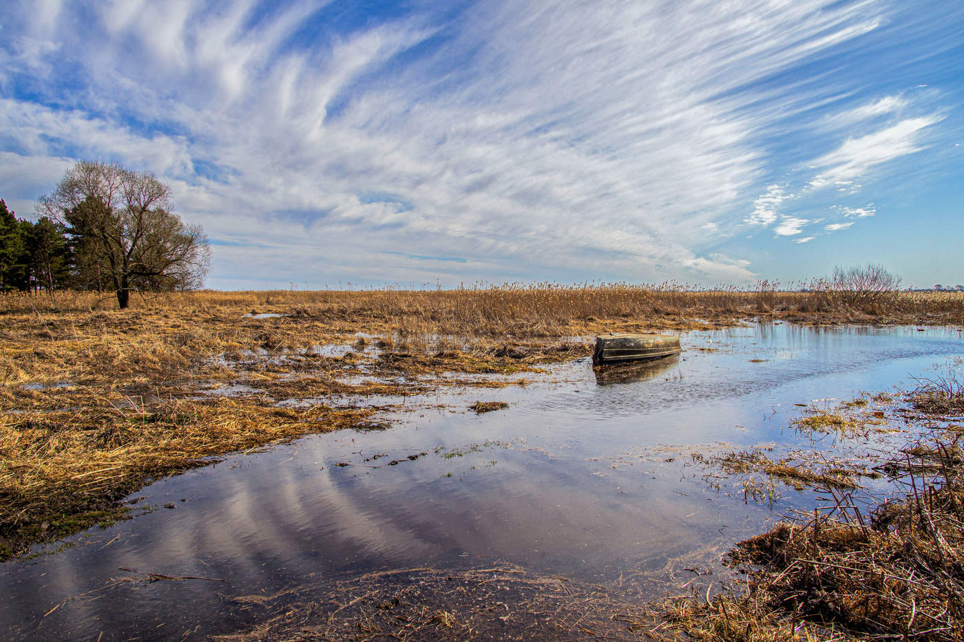 Вешние воды