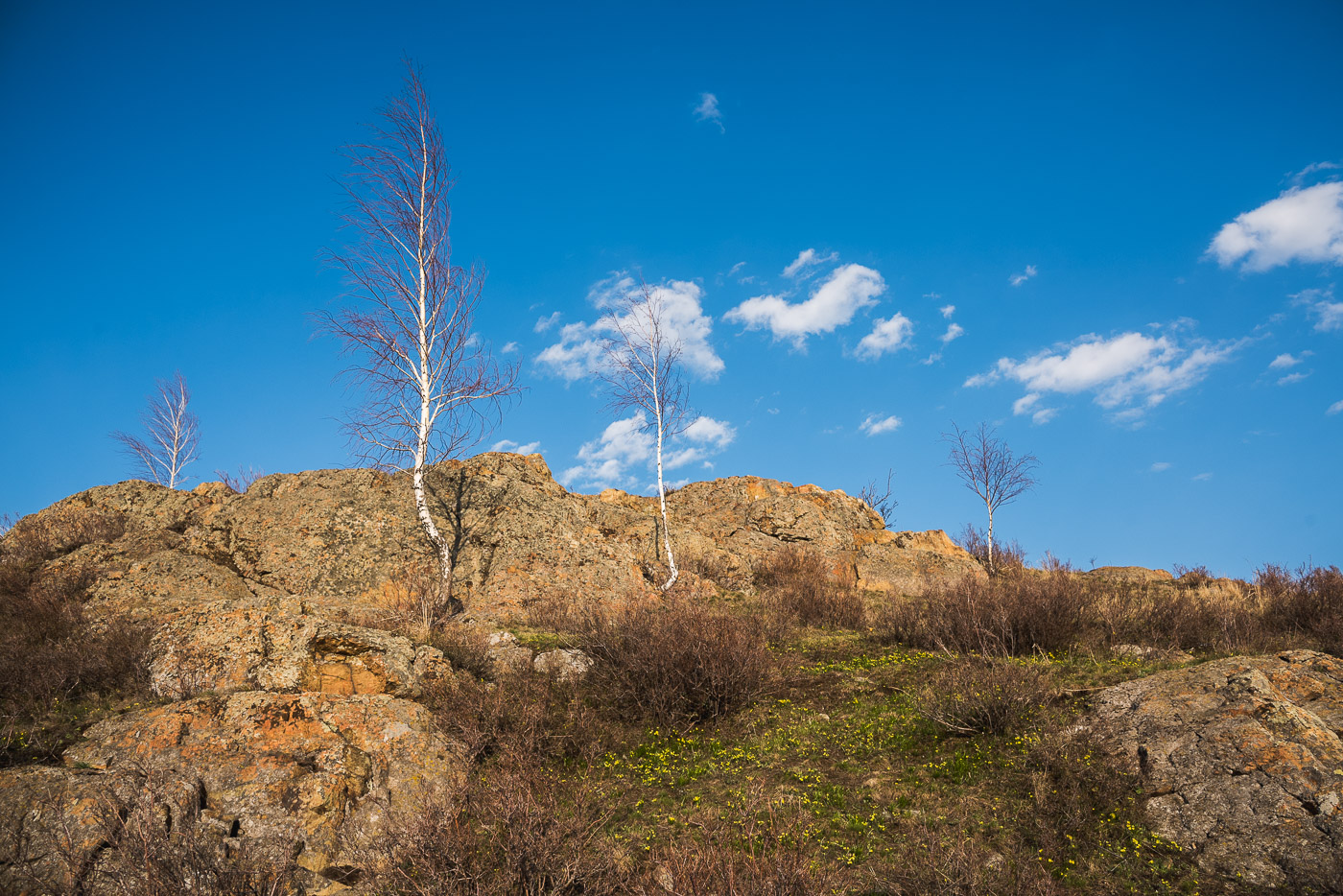 Весенний день