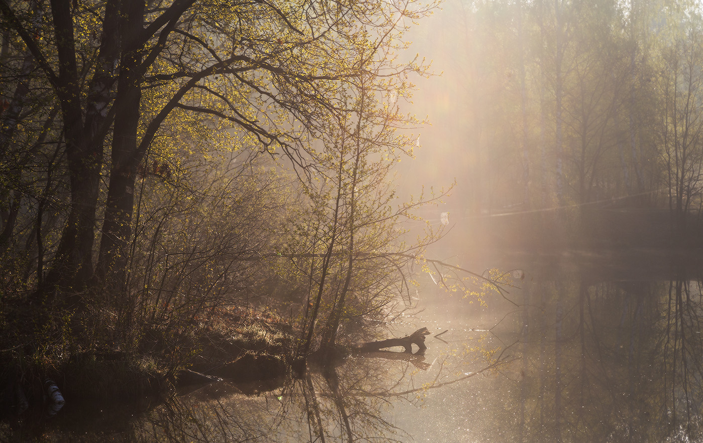 Пробуждение