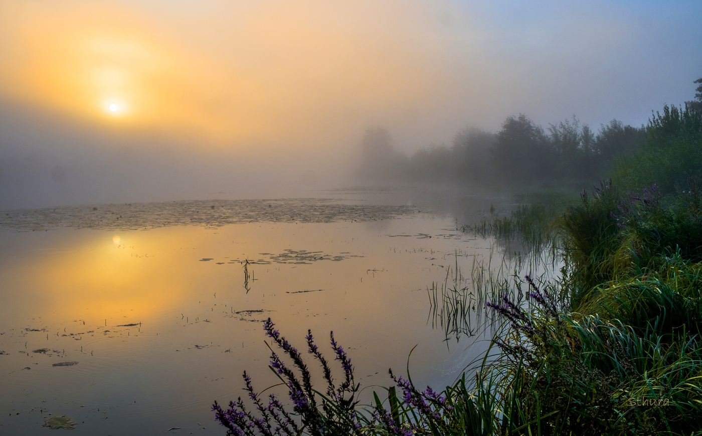 На рассвете туман.