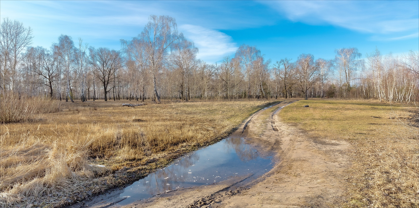 Весна шагает быстрыми шагами...