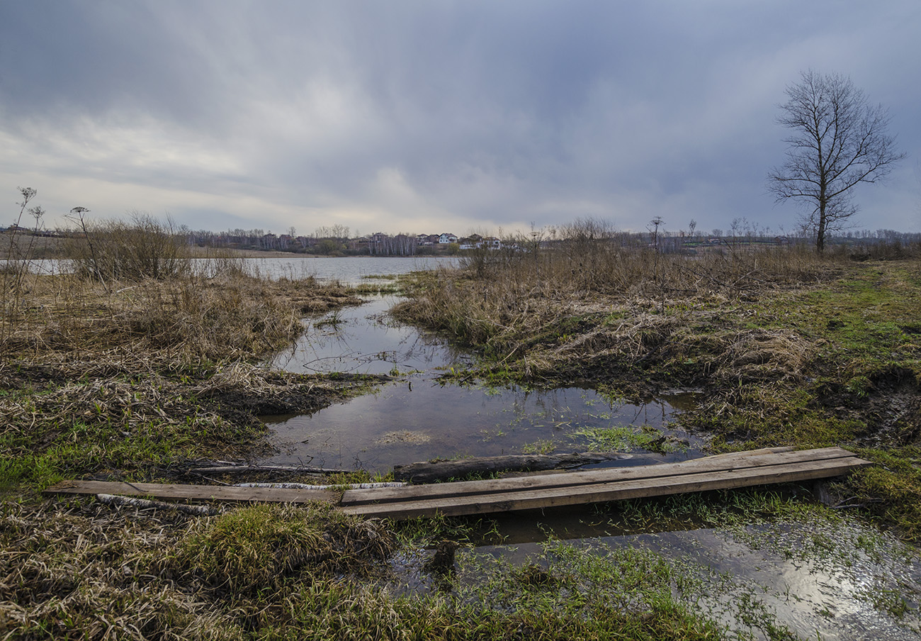 В ожидании дождя