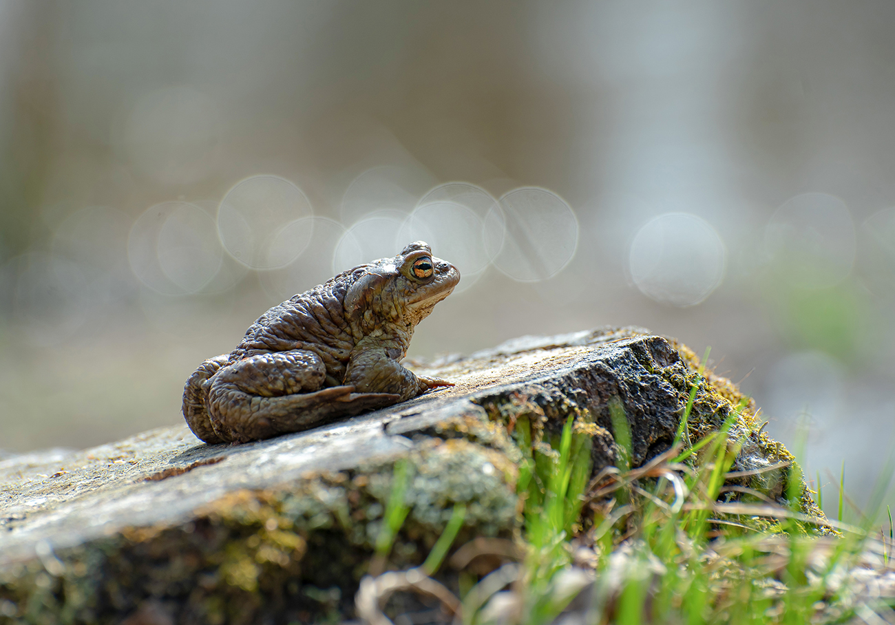 Некуда спешить