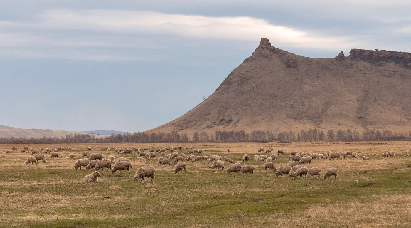 Весенняя пастораль.