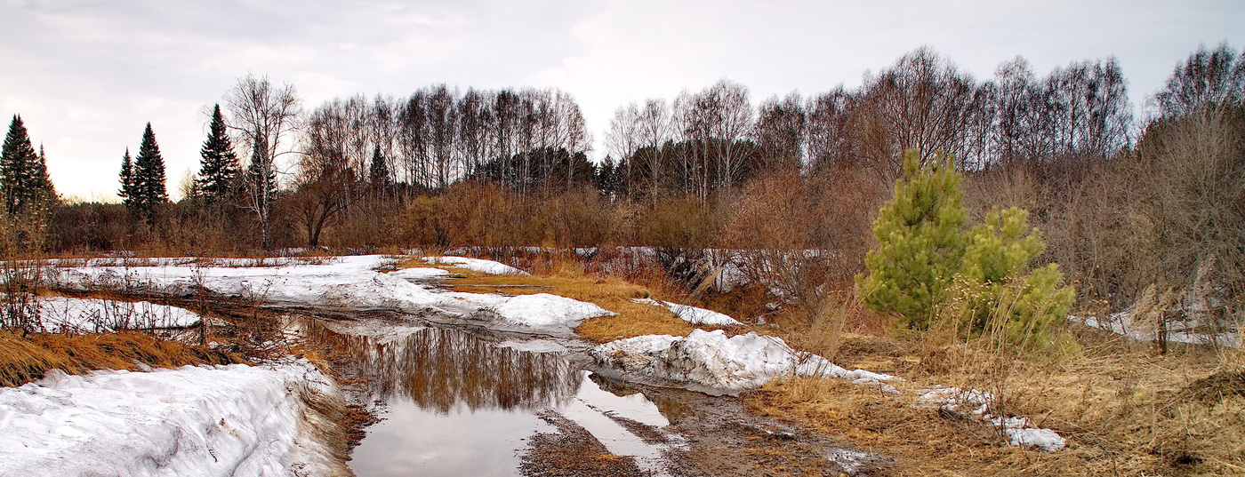 Весенний день.