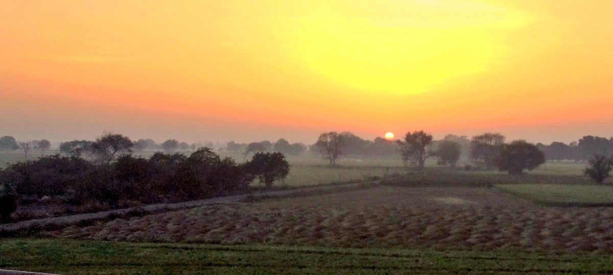 Панорама южного туманного утра