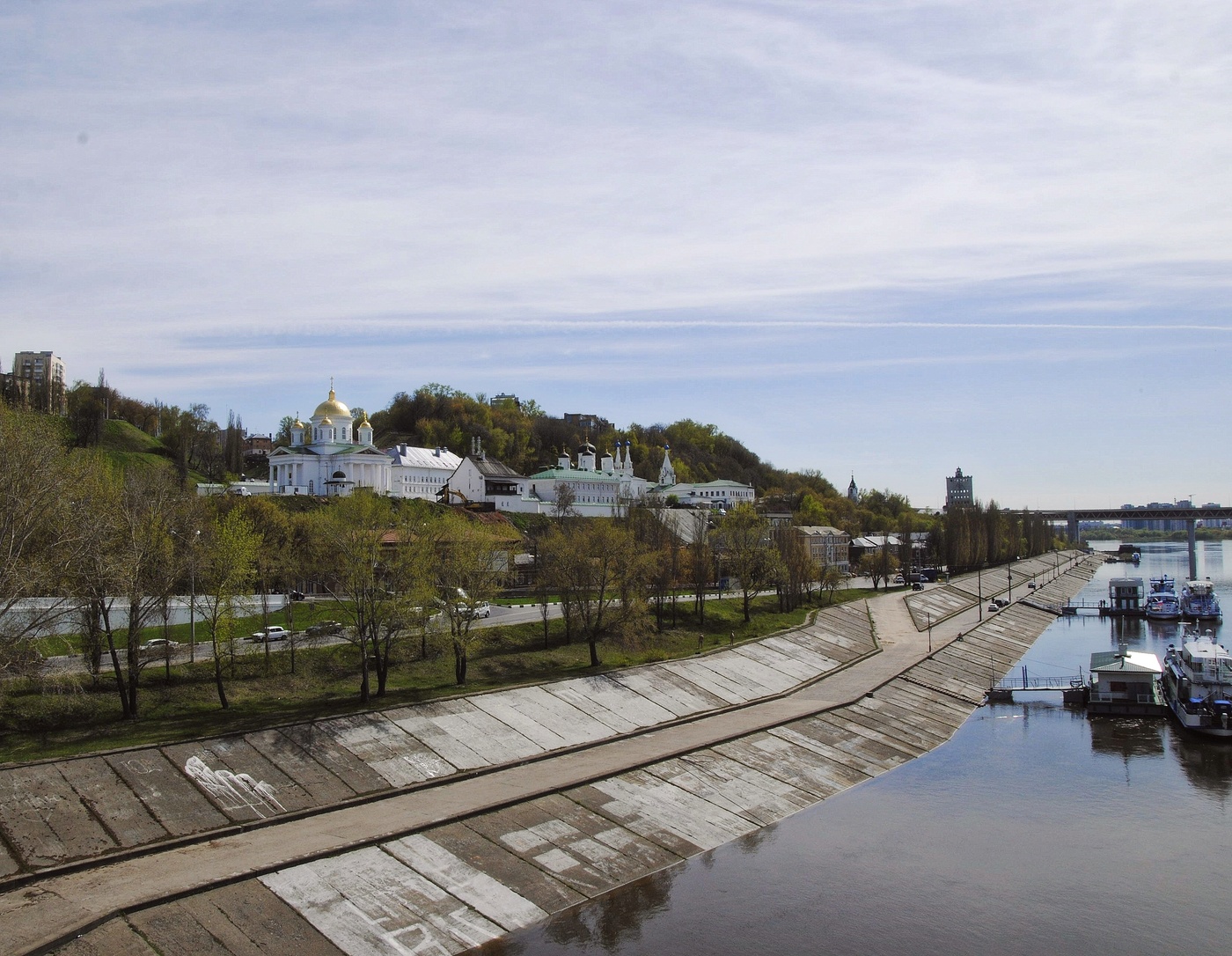 Скоро все зазеленеет ...
