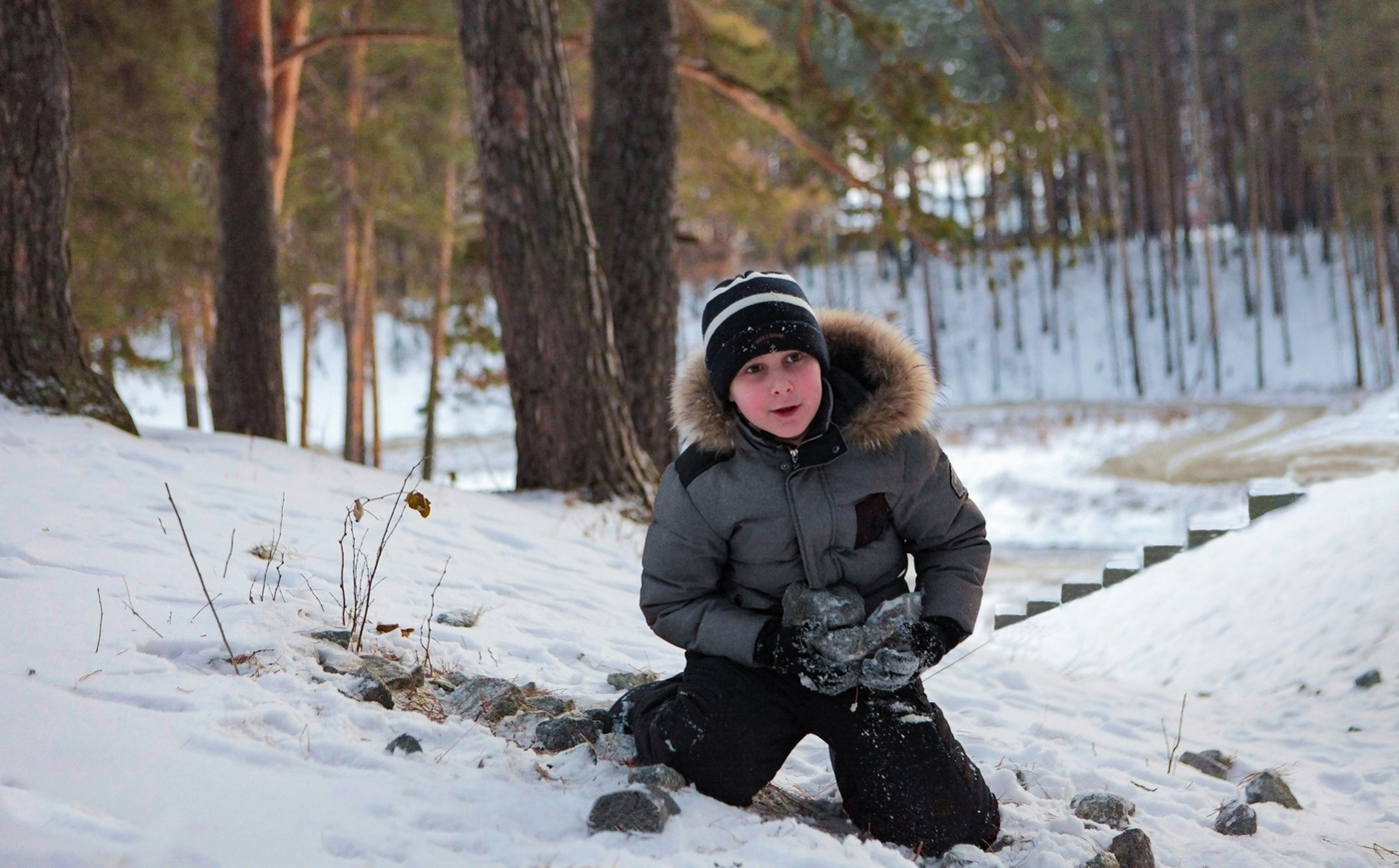 Булыжник-оружие пролетариата.