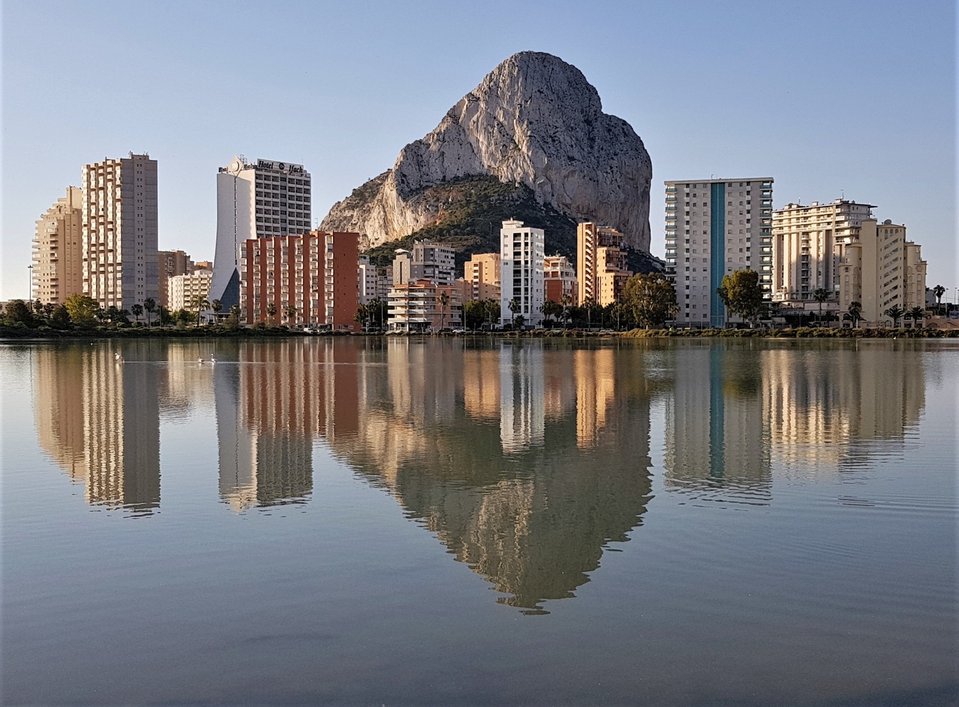 Кинг-Конг на отдыхе...