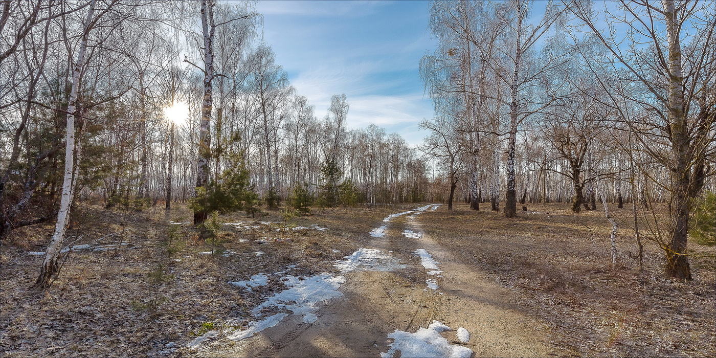 В лесу,где только снег растаял...