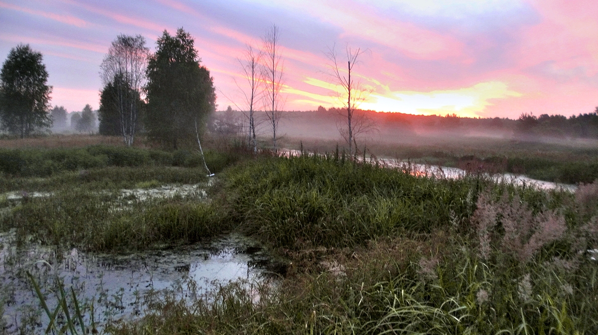 Заря вечерняя, заря туманная, заря летняя