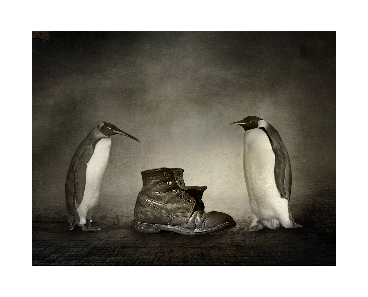 как делить будем?