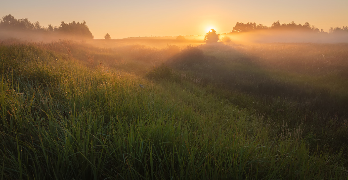 По утренним полям