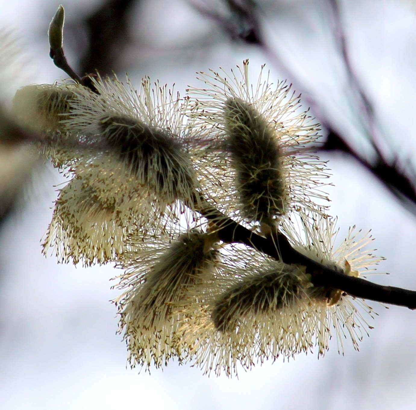 Пробуждение.