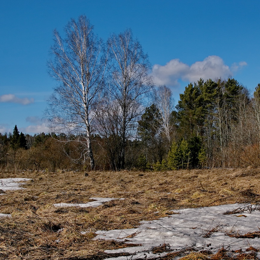 Весенним днём.
