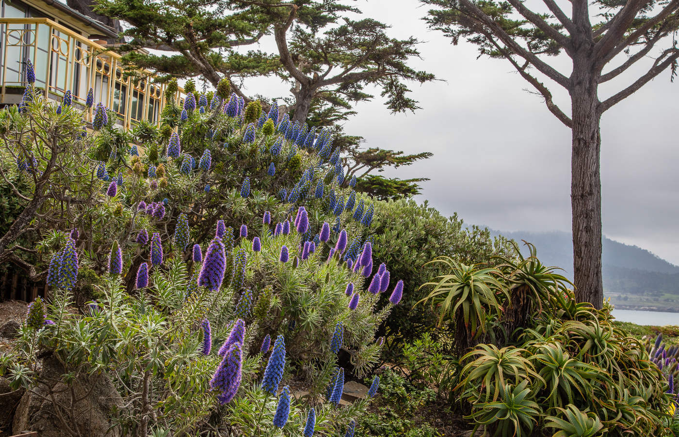 Спуск к океану