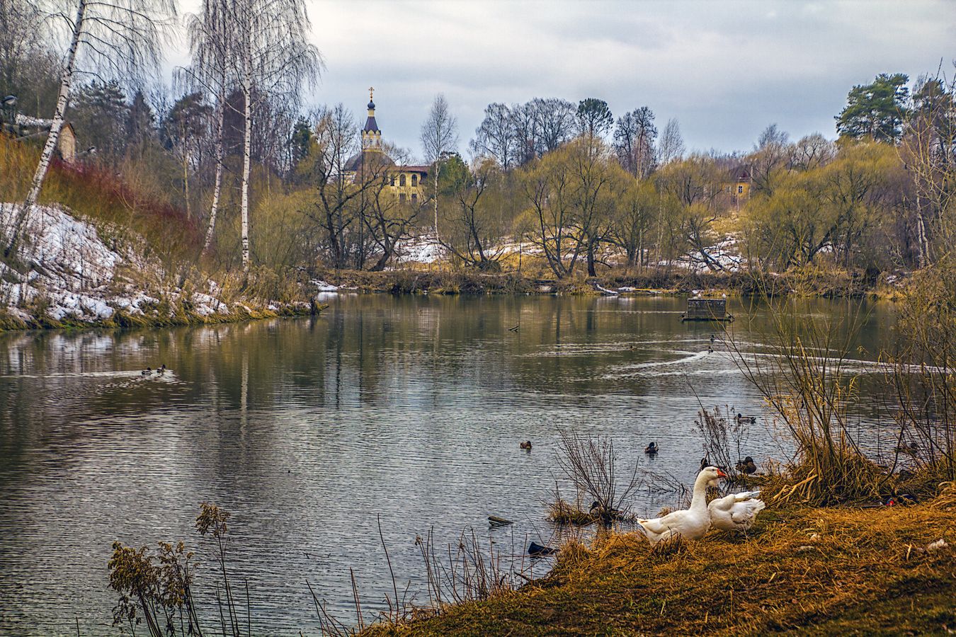 СКИТСКИЙ ПРУД