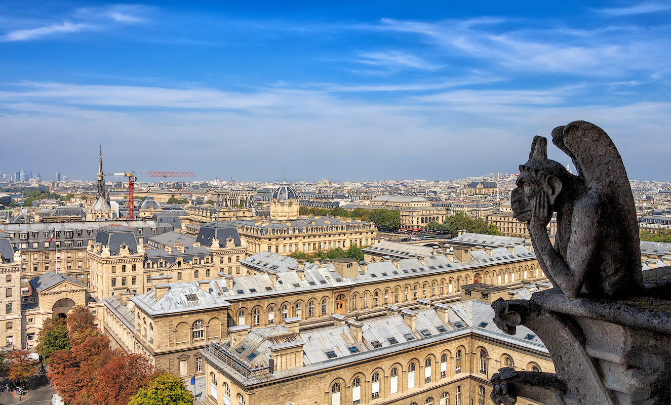 Химеры собора Нотр-Дам-де-Пари