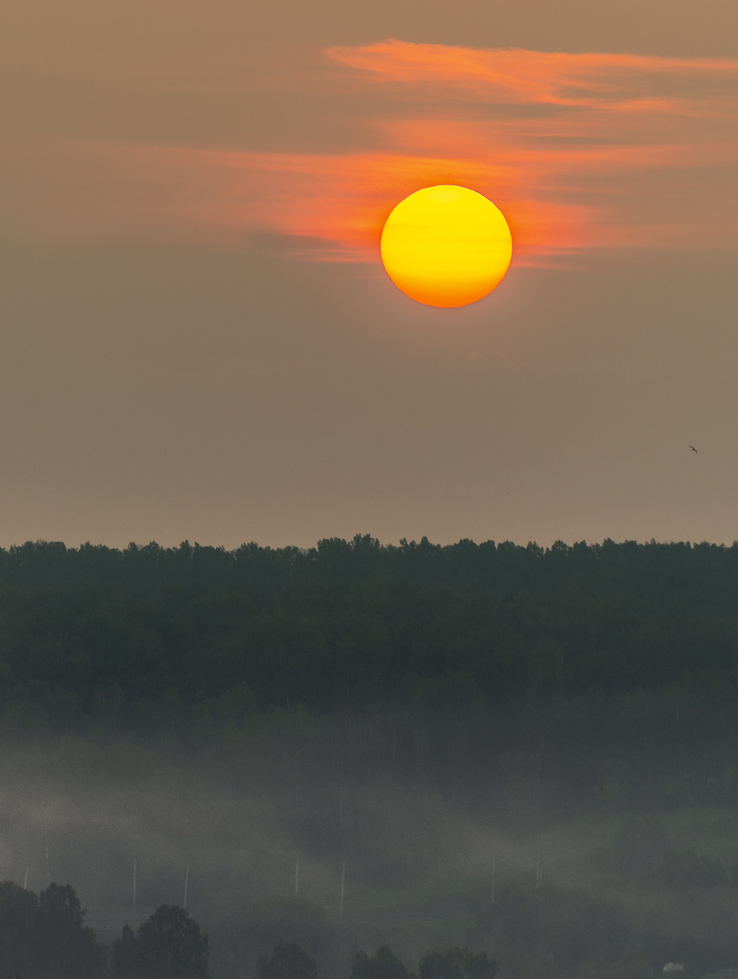 Взгляд с верху