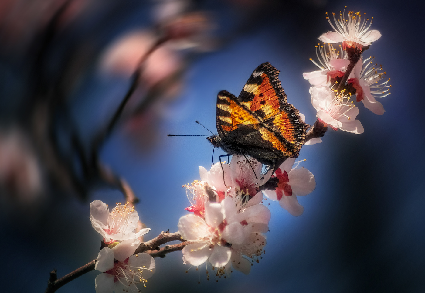 Апрельские мотивы.