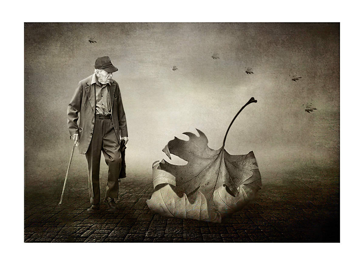 кажется лето заканчивается...