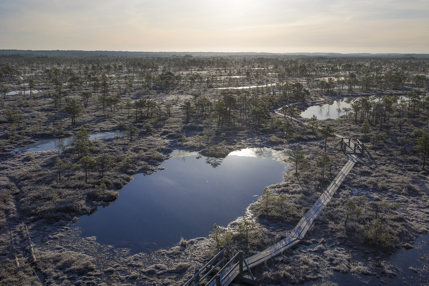 Взгляд с верху