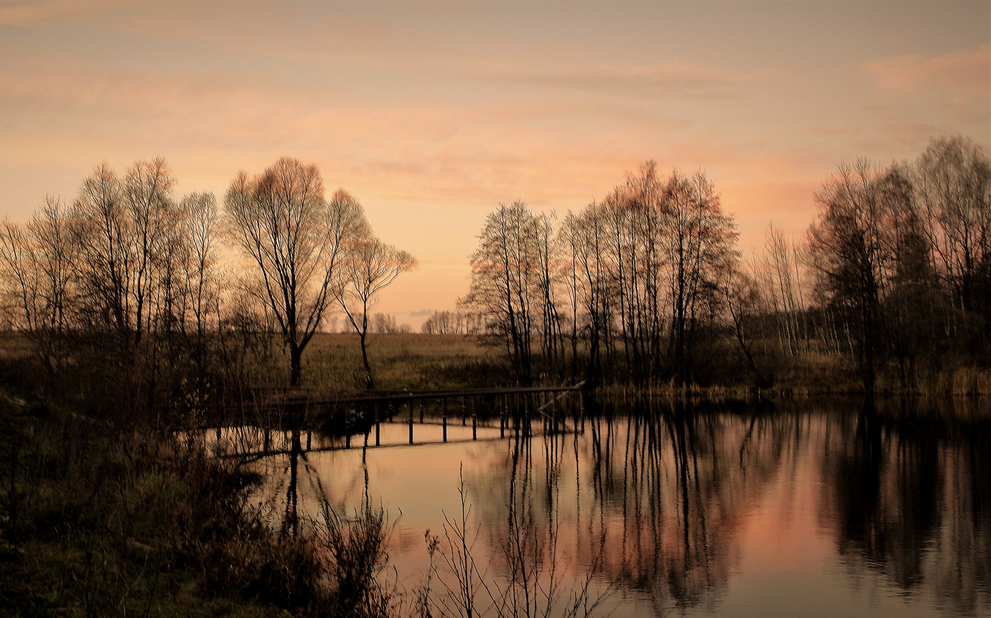 Нежный вечер.
