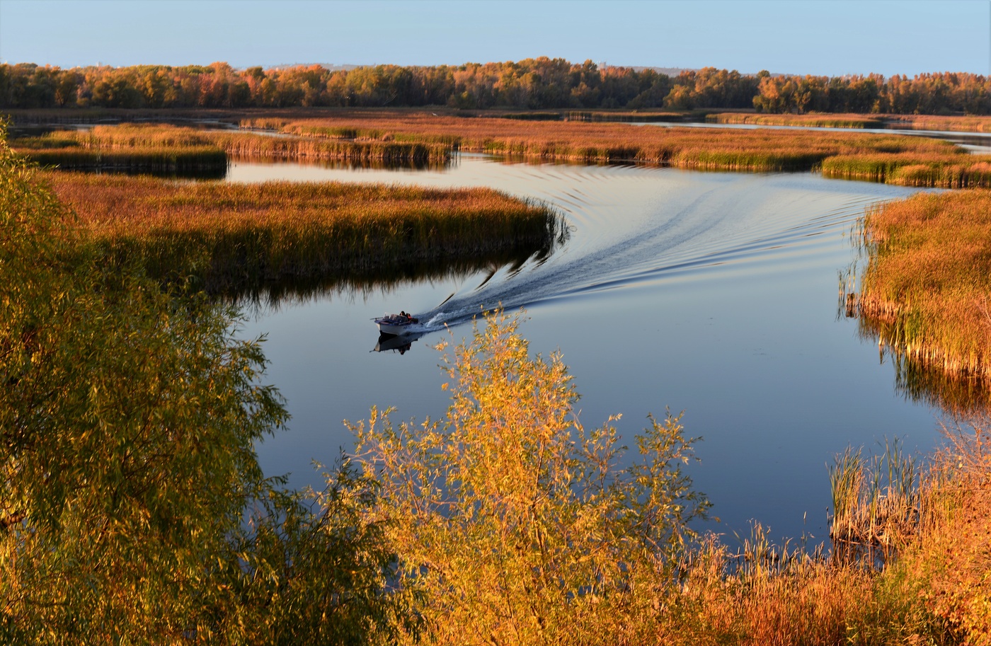 Нарушитель тишины.