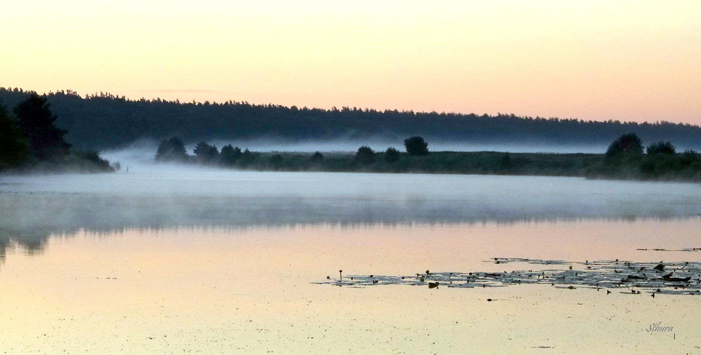 Утренняя тишина.