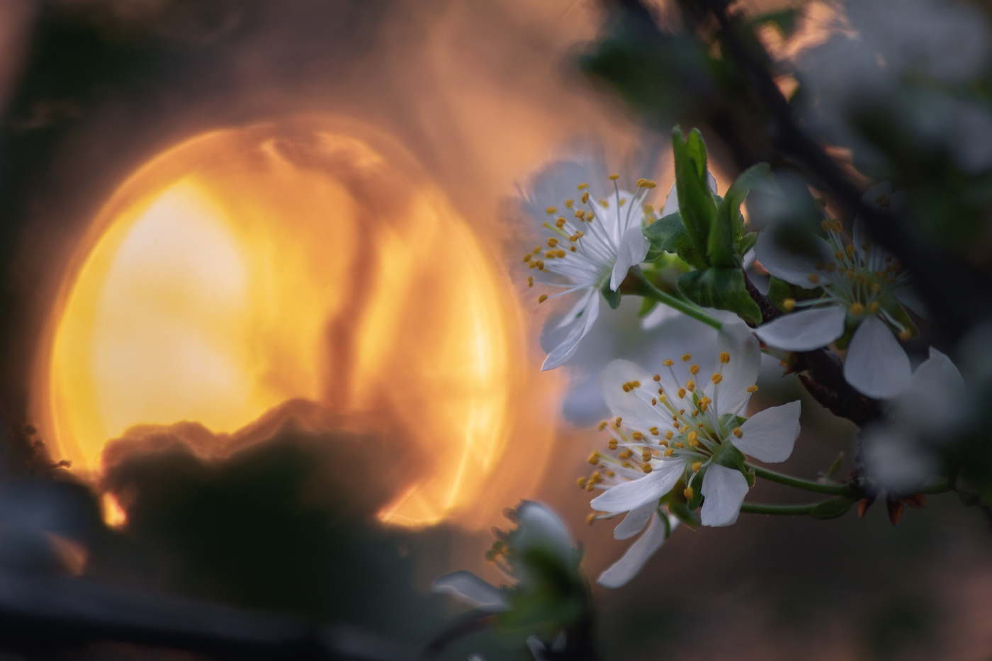 На закате солнца.