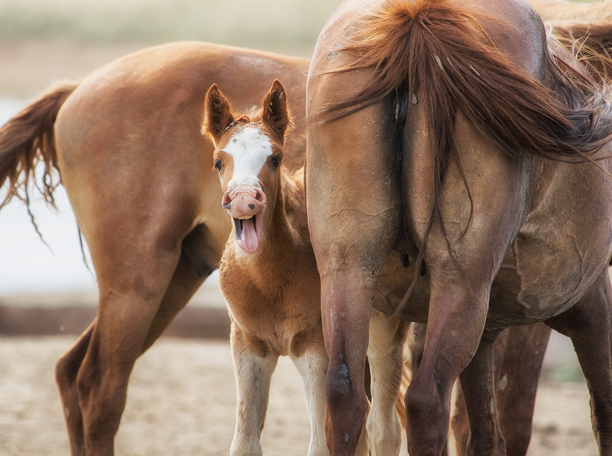 Пока не видят взрослые