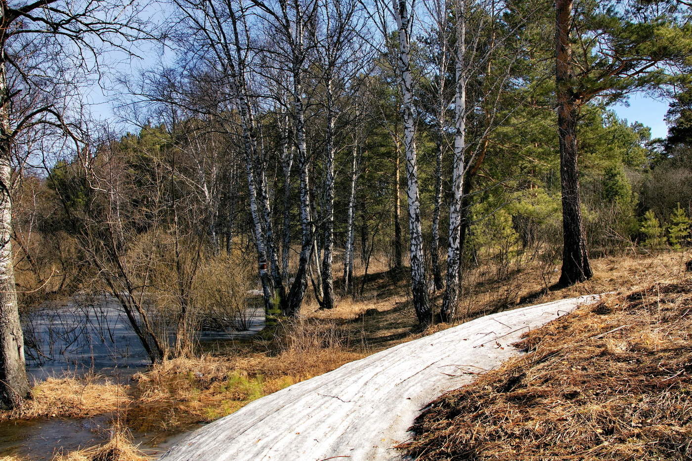 Последний снег.