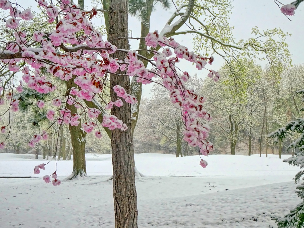 ..а потом выпадает снег
