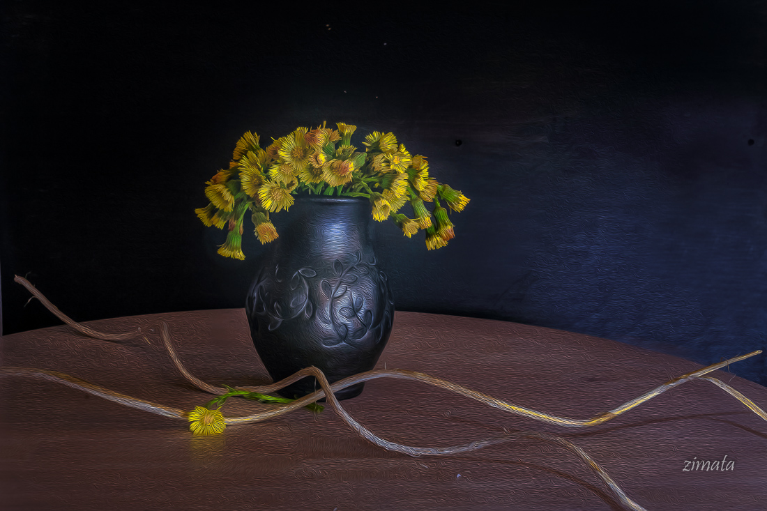 Первоцветы