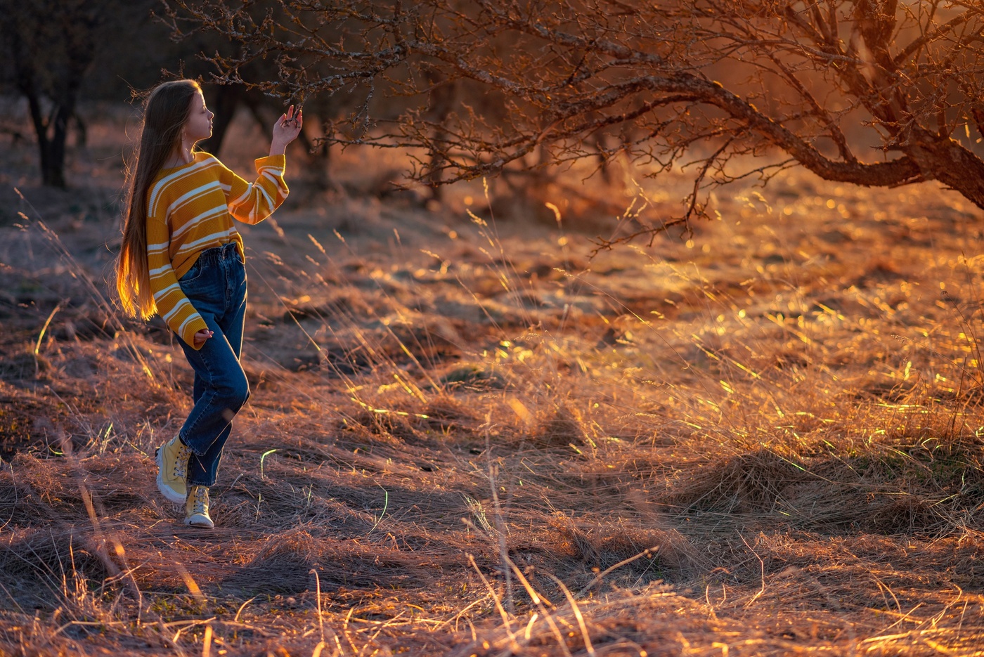 Прогулка за городом