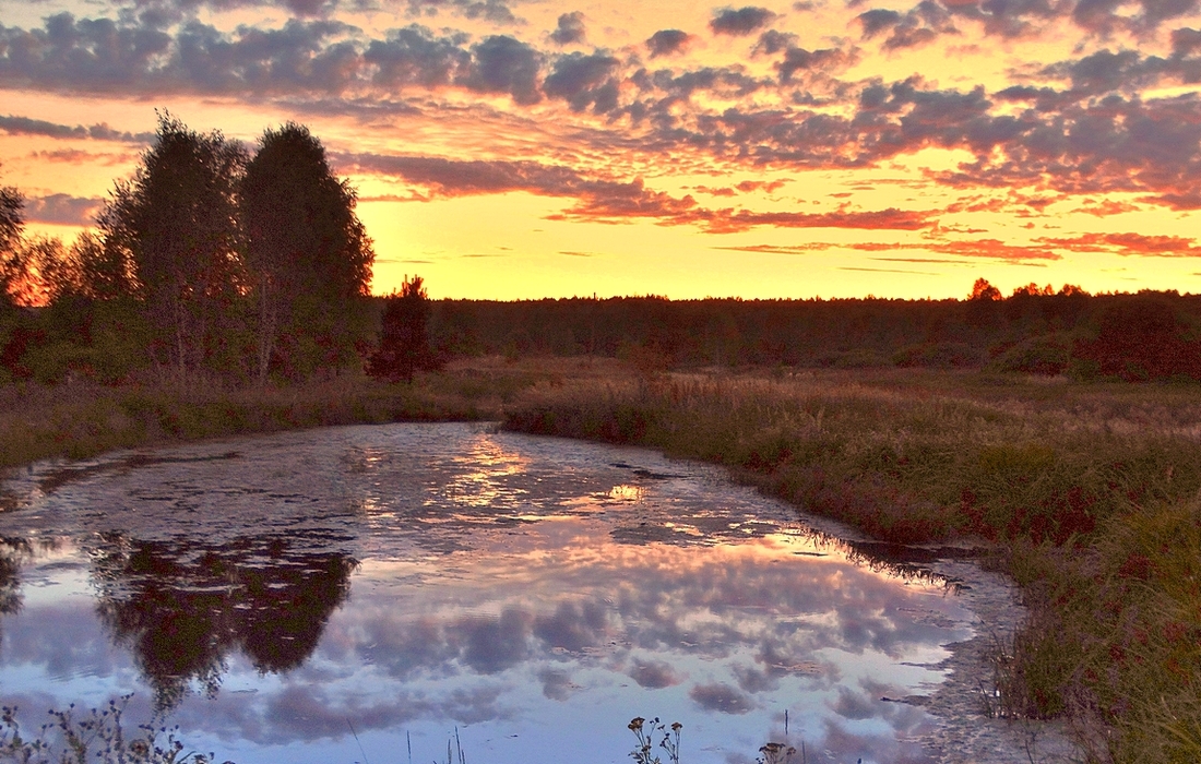 Вечер летний на озёрах в Полесье