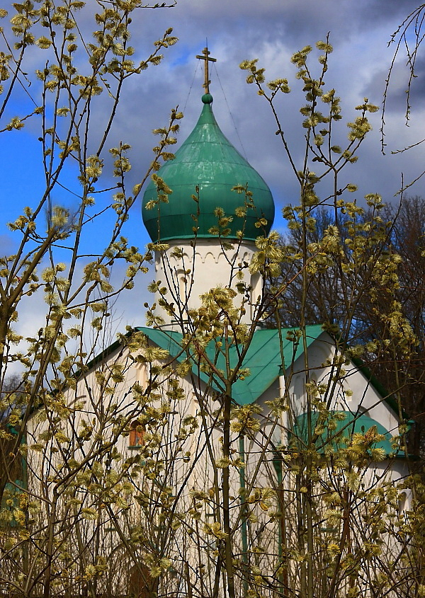 Вербное Воскресение !!!