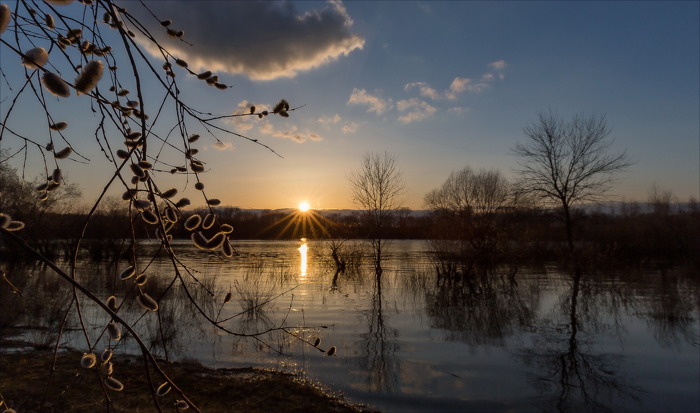 Вербное воскресенье.