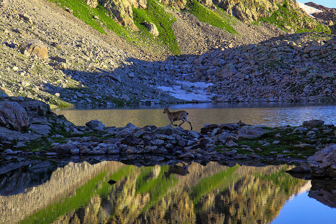 Утро у озера