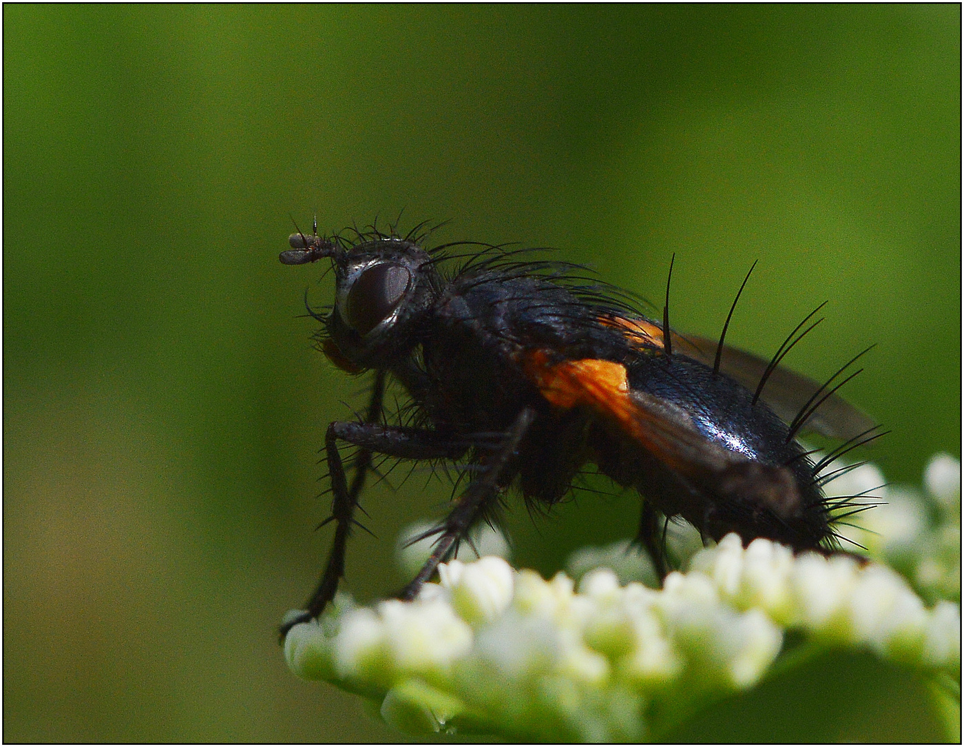 Закрыто небо облаками ...