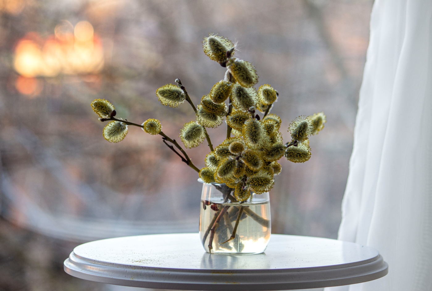 Воскресенье Вербное