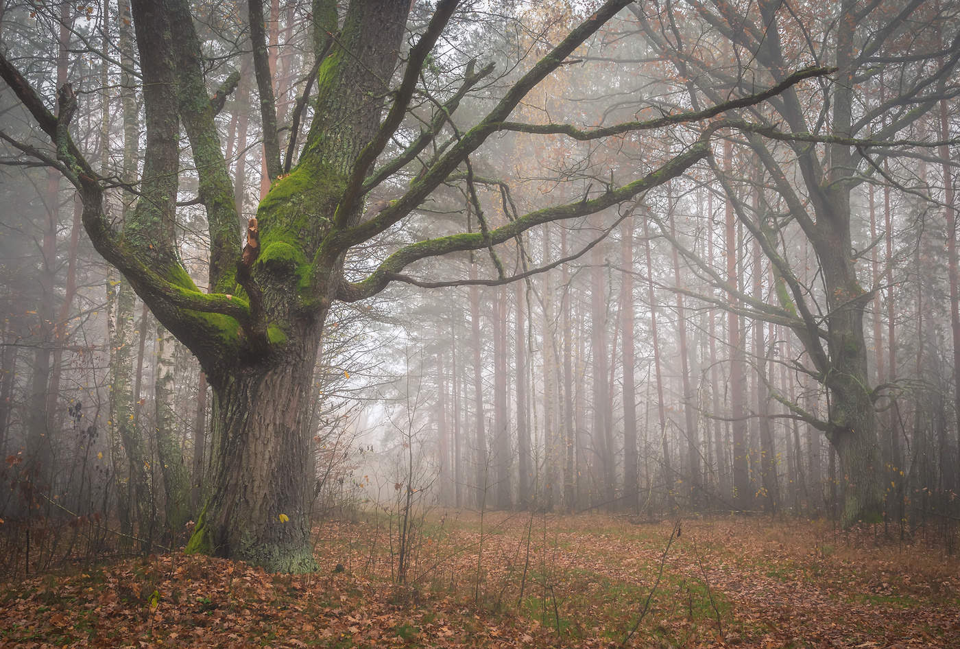 По дорогам осени