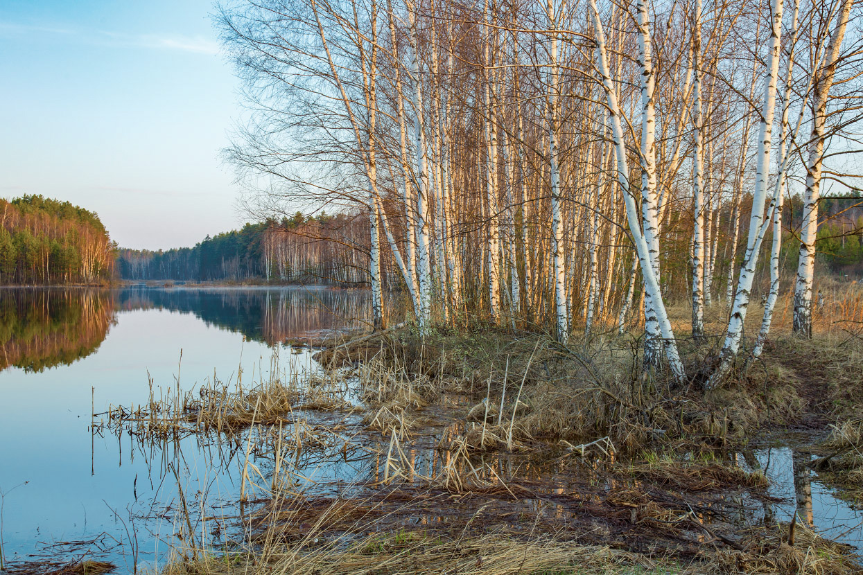 Апрельское утро