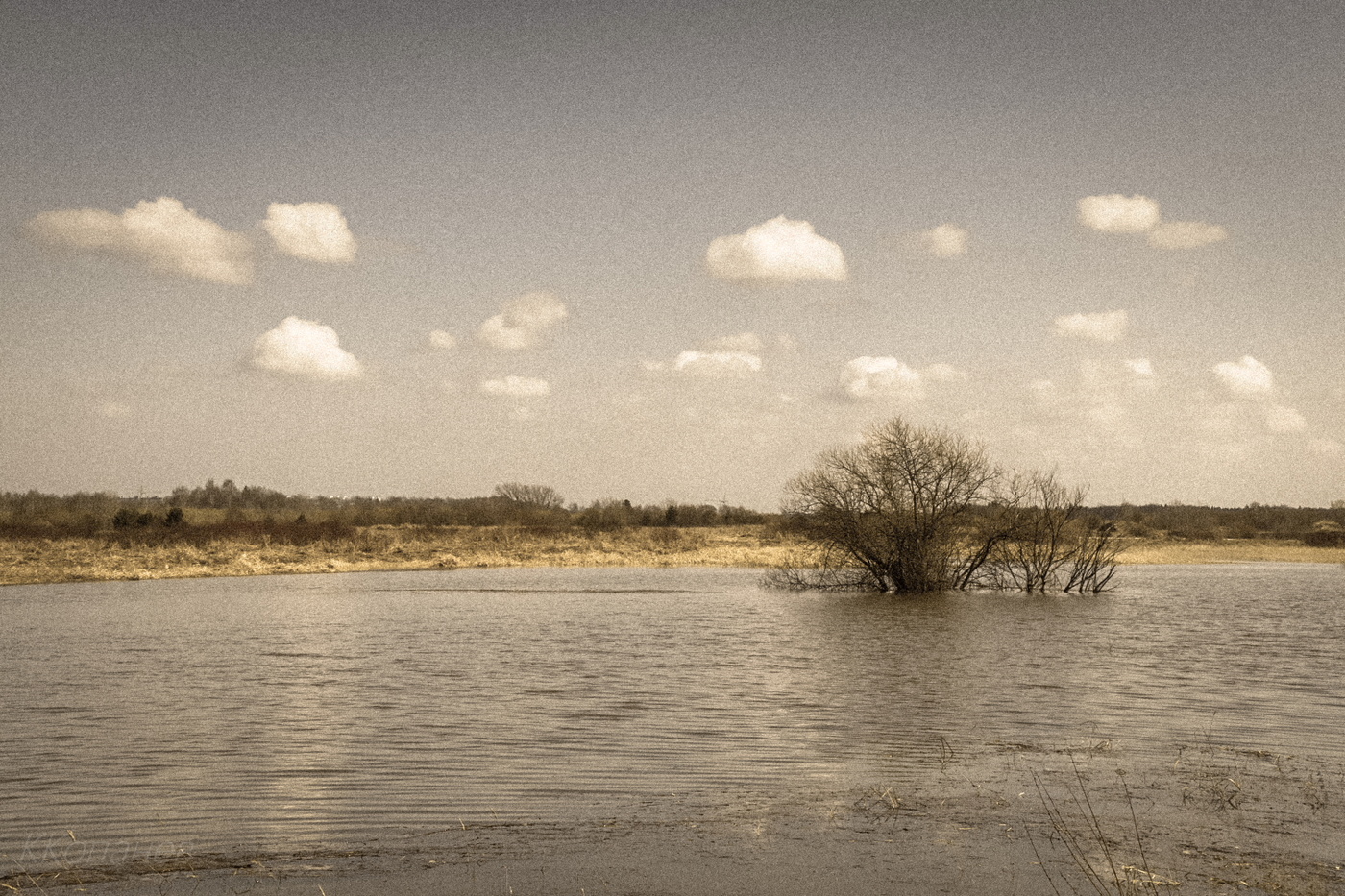 Апрельские мотивы