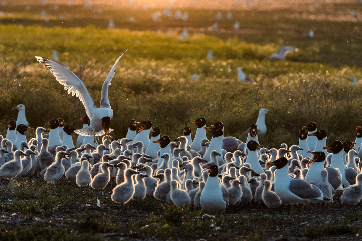 Вечер в детском саду